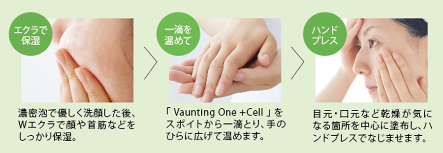 Vaunting One +Cellの使い方