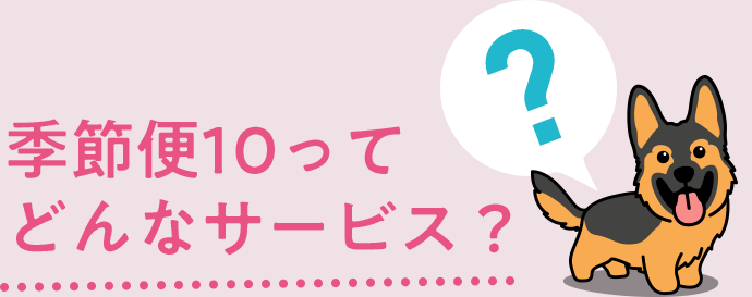 季節便10ってどんなサービス？