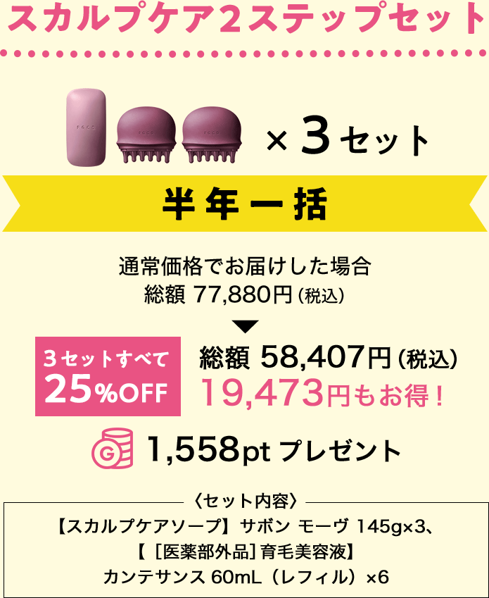 スカルプケア2ステップセット半年一括