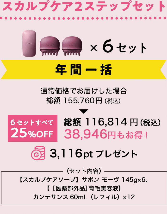 スカルプケア2ステップセット年間一括