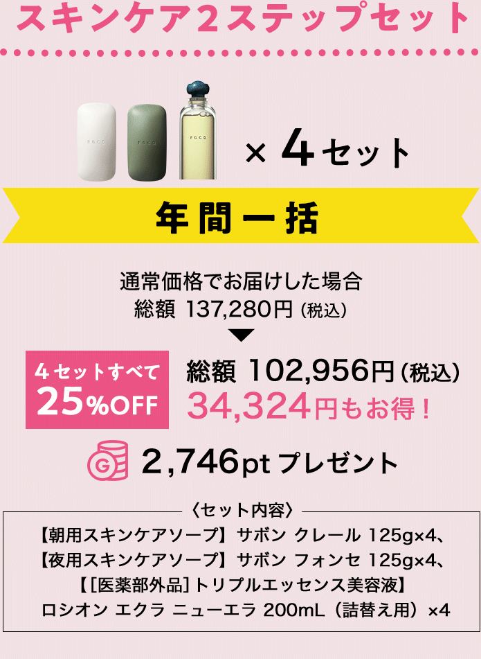 スキンケア2ステップセット年間一括