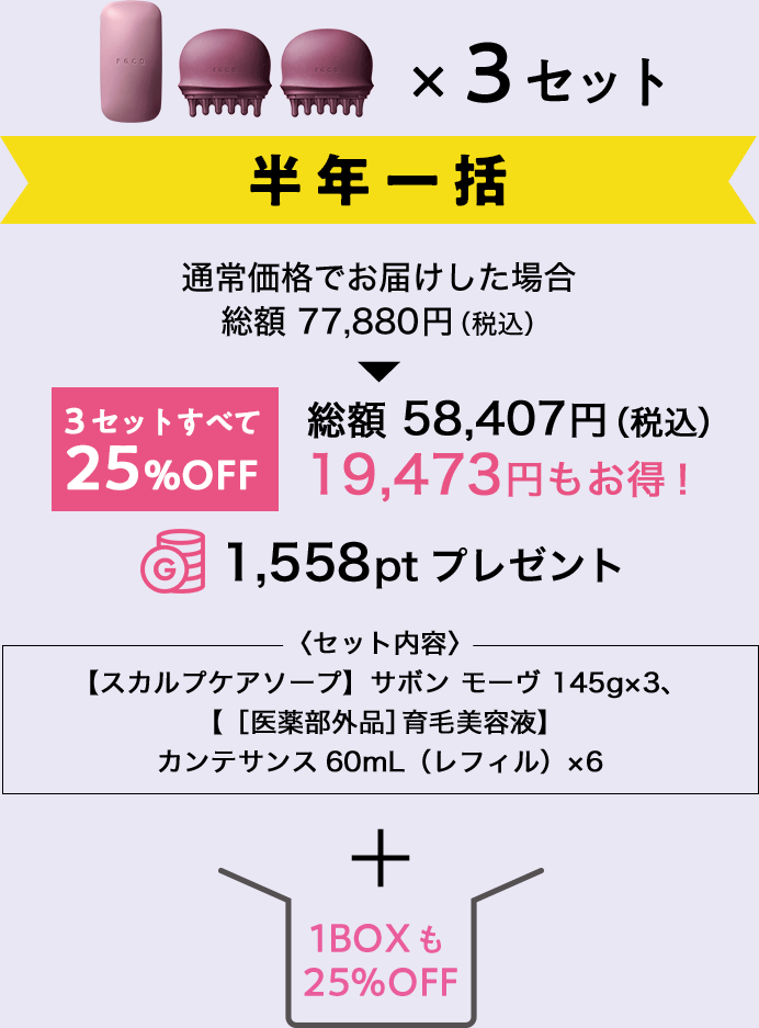 スカルプケア2ステップセット半年一括＋1BOX