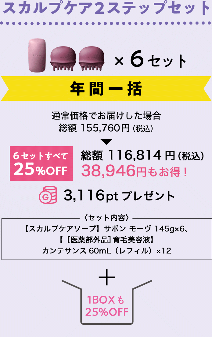 スカルプケア2ステップセット年間一括＋1BOX