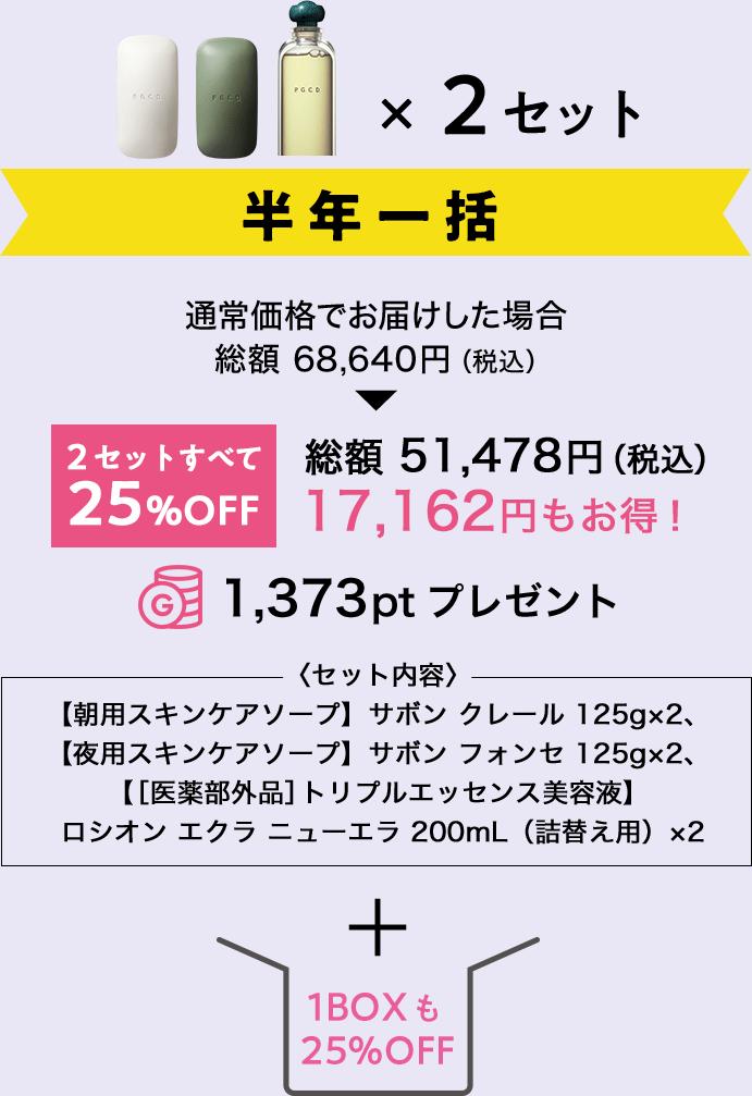 スキンケア2ステップセット半年一括＋1BOX