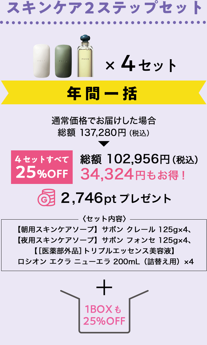 スキンケア2ステップセット年間一括＋1BOX