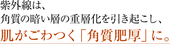 紫外線は、角質の暗い層の重層化を引き起こし、肌がごわつく「角質肥厚」に。