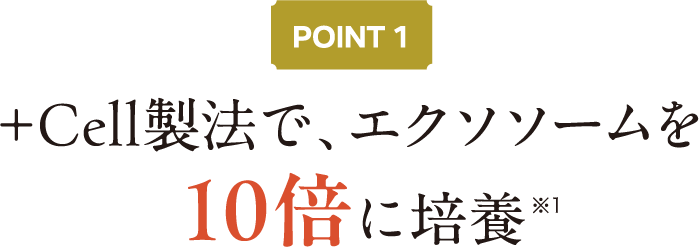 POINT1 +Cell製法で、エクソソームを10倍に培養