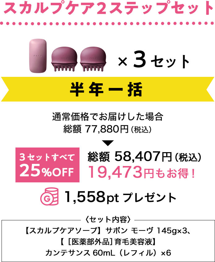 スカルプケア2ステップセット半年一括