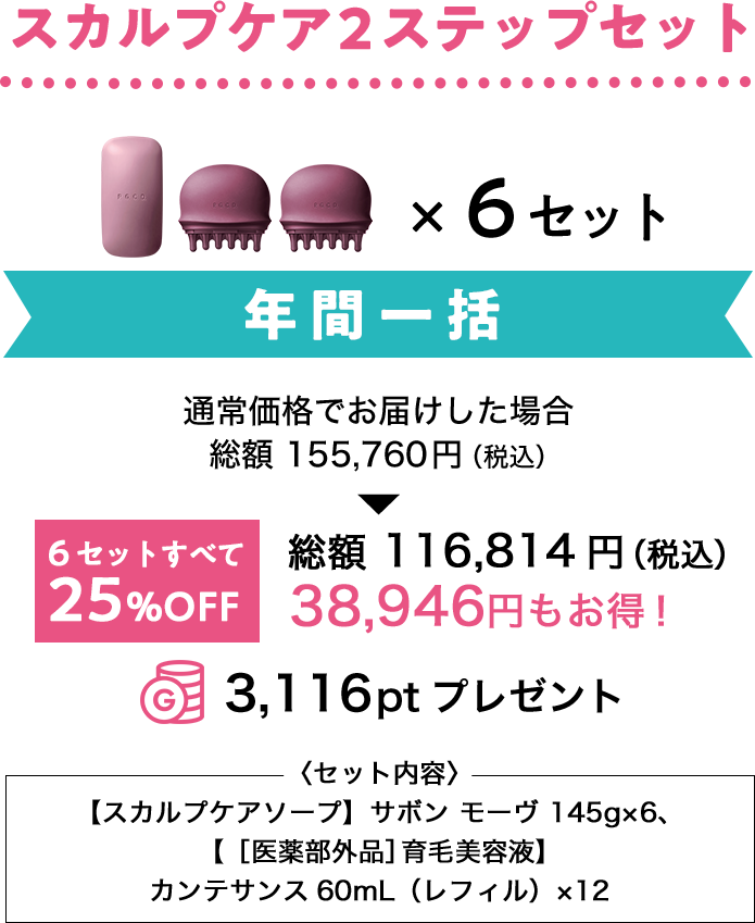 スカルプケア2ステップセット年間一括