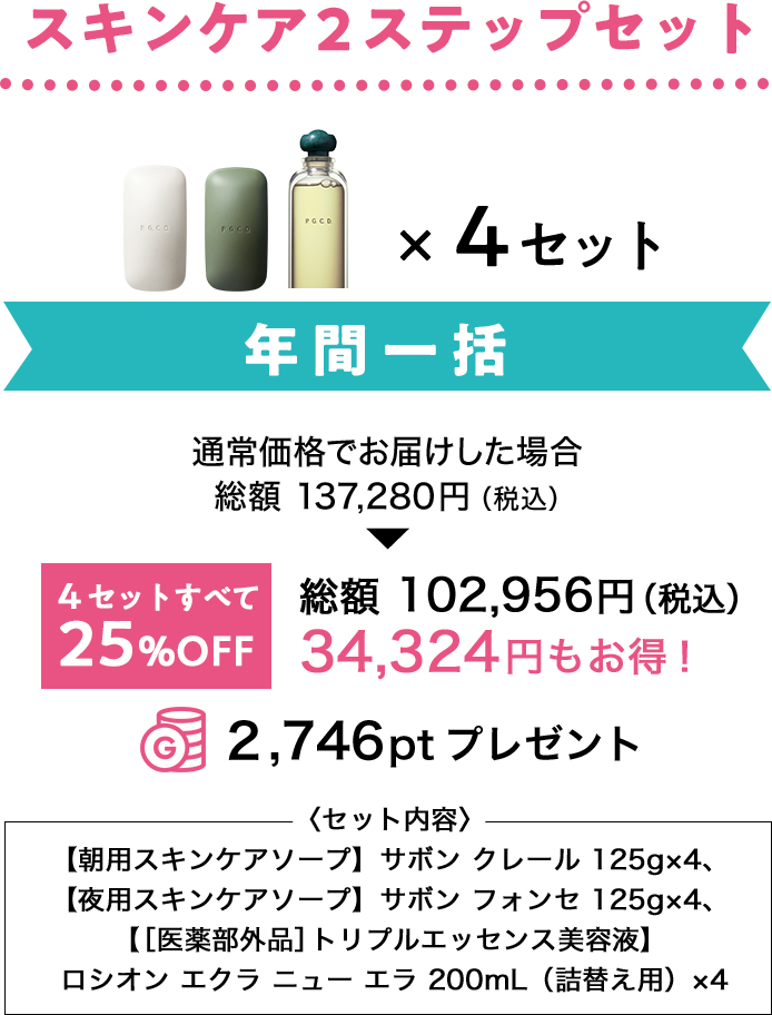 スキンケア2ステップセット年間一括