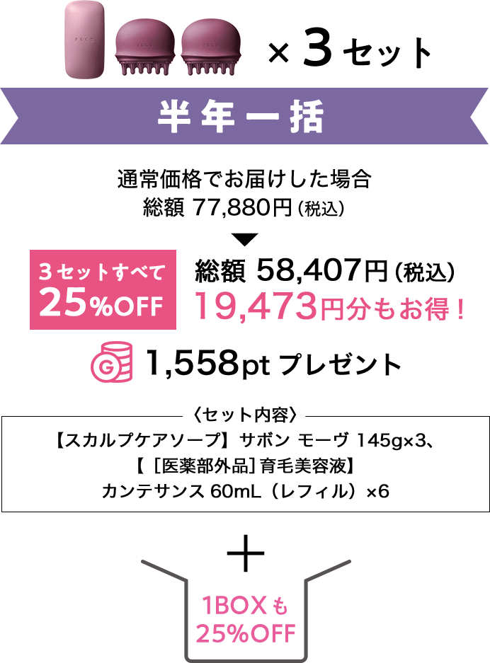 スカルプケア2ステップセット半年一括＋1BOX