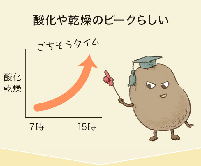 酸化や乾燥のピークらしい