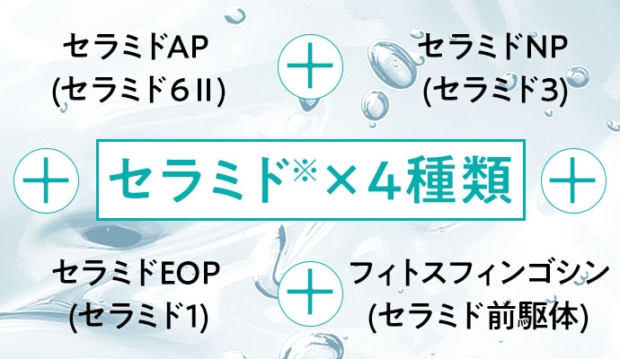 セラミド×4種類