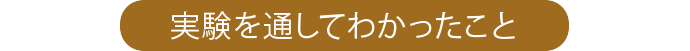 実験を通してわかったこと