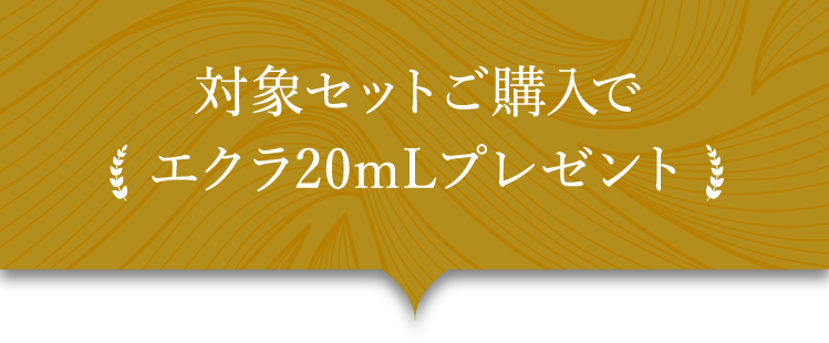 対象セットご購入でエクラ20mLプレゼント