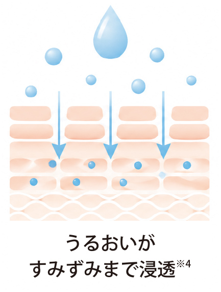 うるおいがすみずみまで浸透※4