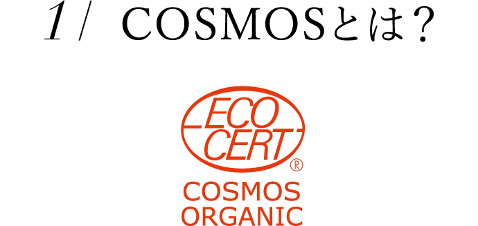 1 COSMOSとは?
