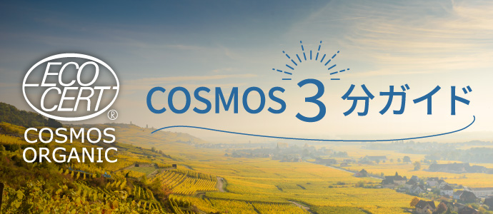 COSMOS 3分ガイド