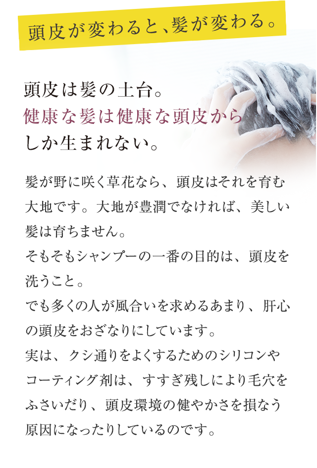 頭皮が変わると、髪が変わる。さあ、はじめよう。 頭皮は髪の土台。健康な髪は健康な頭皮からしか生まれない。 髪が野に咲く草花なら、頭皮はそれを育む大地です。大地が豊潤でなければ、美しい髪は育ちません。そもそもシャンプーの一番の目的は、頭皮を洗うこと。でも多くの人が風合いを求めるあまり、肝心の頭皮をおざなりにしています。実は、クシ通りをよくするためのシリコンやコーティング剤は、毛穴をふさいだり、頭皮環境の健やかさを損なう原因になったりしているのです。