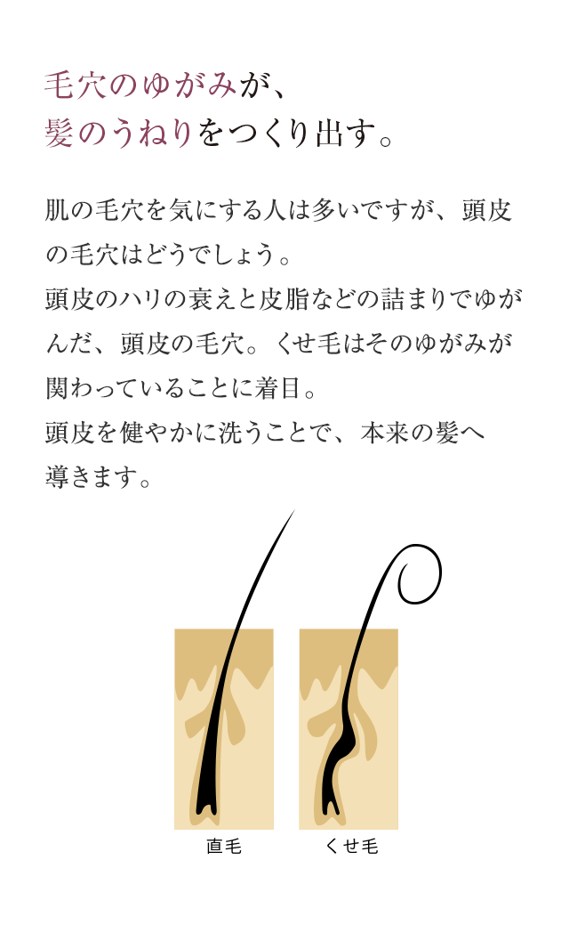 毛穴のゆがみが、髪のうねりをつくり出す。 肌の毛穴を気にする人は多いですが、頭皮の毛穴はどうでしょう。髪のうねりの原因は毛穴のゆがみ。それを引き起こすのが毛穴詰まりです。年齢とともに素直だった髪がうねってくるのは、老化と詰まりによって毛穴が歪んでくるからなのです。