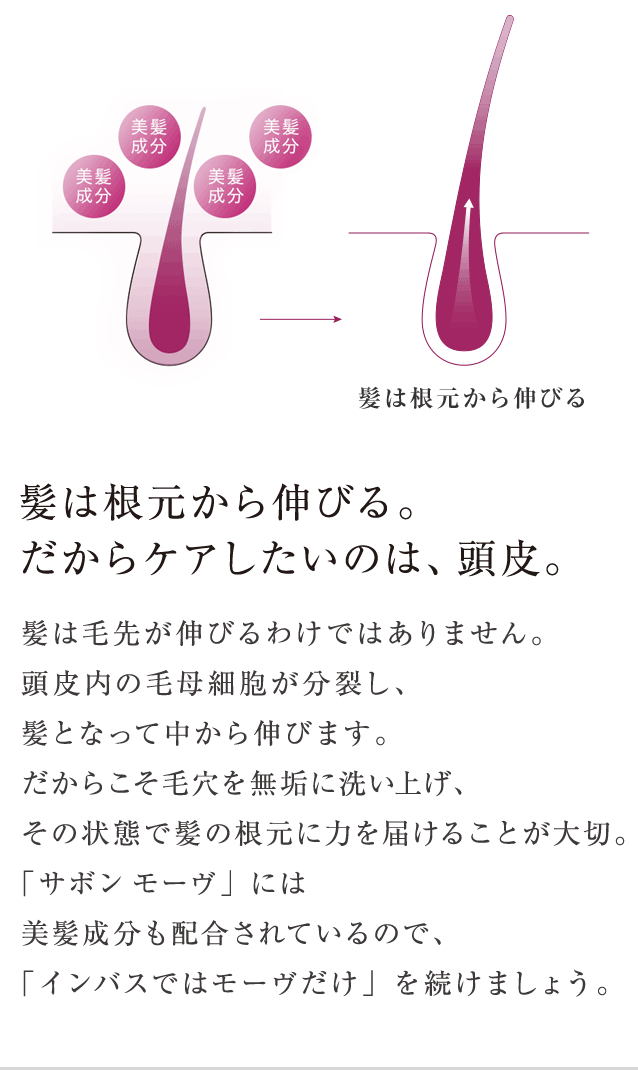 髪は根元から伸びる。だからケアしたいのは、頭皮。 髪は毛先から伸びるわけではありません。頭皮にある毛母細胞が分裂し、髪になり、中から伸びます。健やかな髪のためには、毛穴を無垢に洗い上げ、その状態で髪の根元に力を届けることが大切。モーヴにはリンス機能があるので、「インバスではモーヴだけ」を続けましょう。