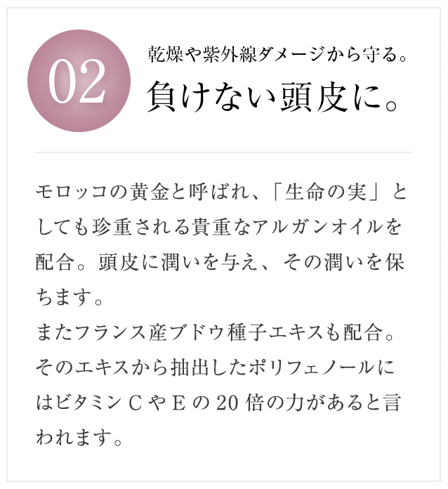 02 乾燥や紫外線ダメージに抗う。負けない頭皮に。 モロッコの黄金と呼ばれ、「生命の実」としても珍重される貴重なアルガンオイルを配合。頭皮に潤いを与え、その潤いを保ちます。またフランス産ブドウ種子エキスも配合。そのエキスから抽出したポリフェノールにはビタミンCやEの20倍の力があると言われます。