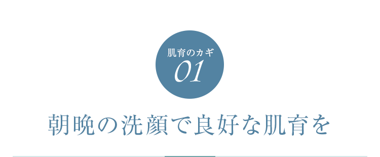 肌育のカギ01　朝晩の洗顔で良好なターンオーバー