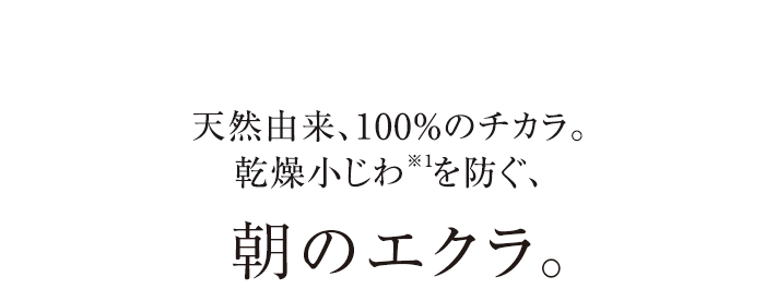 紫外線・乾燥から守って明るく潤う肌で過ごす、朝のエクラ。