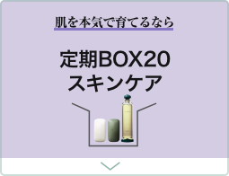 定期BOX20スキンケア