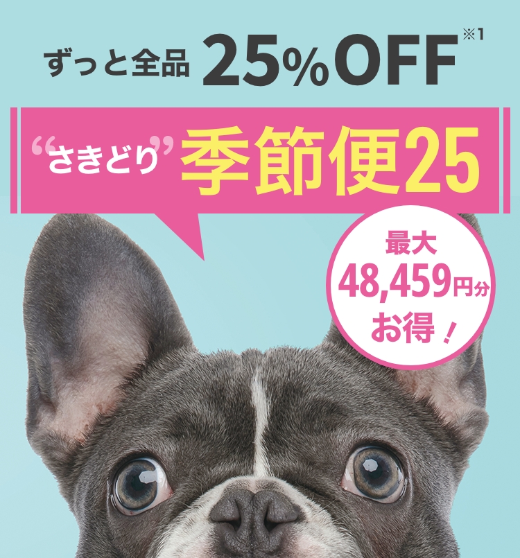 ずっと全品25%OFF 季節便