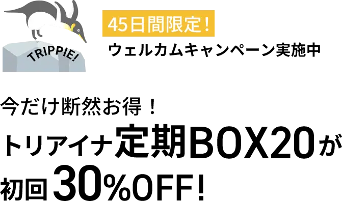 45日間限定！ウェルカムキャンペーン実施中