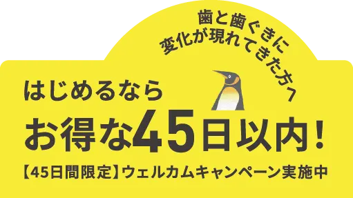 トリアイナと新しい歯磨き習慣の続け方